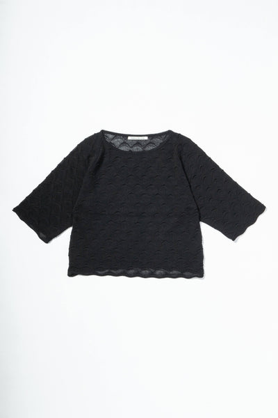 MONOCOT TOP