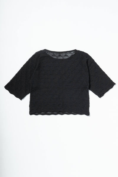 MONOCOT TOP