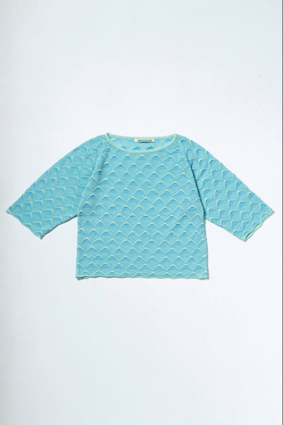 MONOCOT TOP