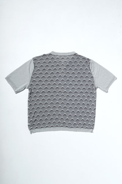 DICOT POLO