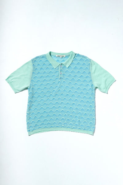 DICOT POLO