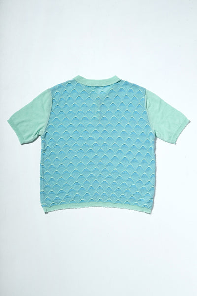 DICOT POLO