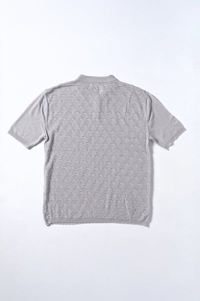 DICOT POLO
