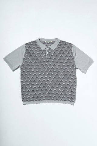 DICOT POLO